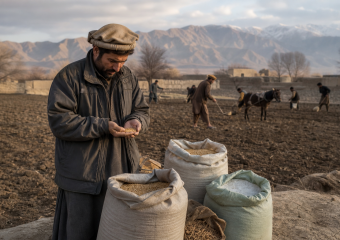 A man holds grain beside sacks of grain in a field, while others work with a horse against a mountain backdrop
