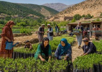 Farm workers tend rows of seedlings in a mountain valley, with a tractor and village buildings behind them