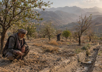 Two farmers work among flowering fruit trees beside an irrigation channel, with mountains in the background